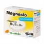Magnesio vallesol 24 comp