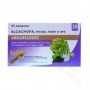 ARKOCAP ALCACHOFA FORTE MATE Y UVA 20 AMPOLLAS